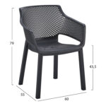 ΠΟΛΥΘΡΟΝΑ ΠΟΛΥΠΡΟΠΥΛΕΝΙΟΥ PEGGY HM6368.02 ΜΑΥΡΟ 60x55x79Υεκ - Image 2